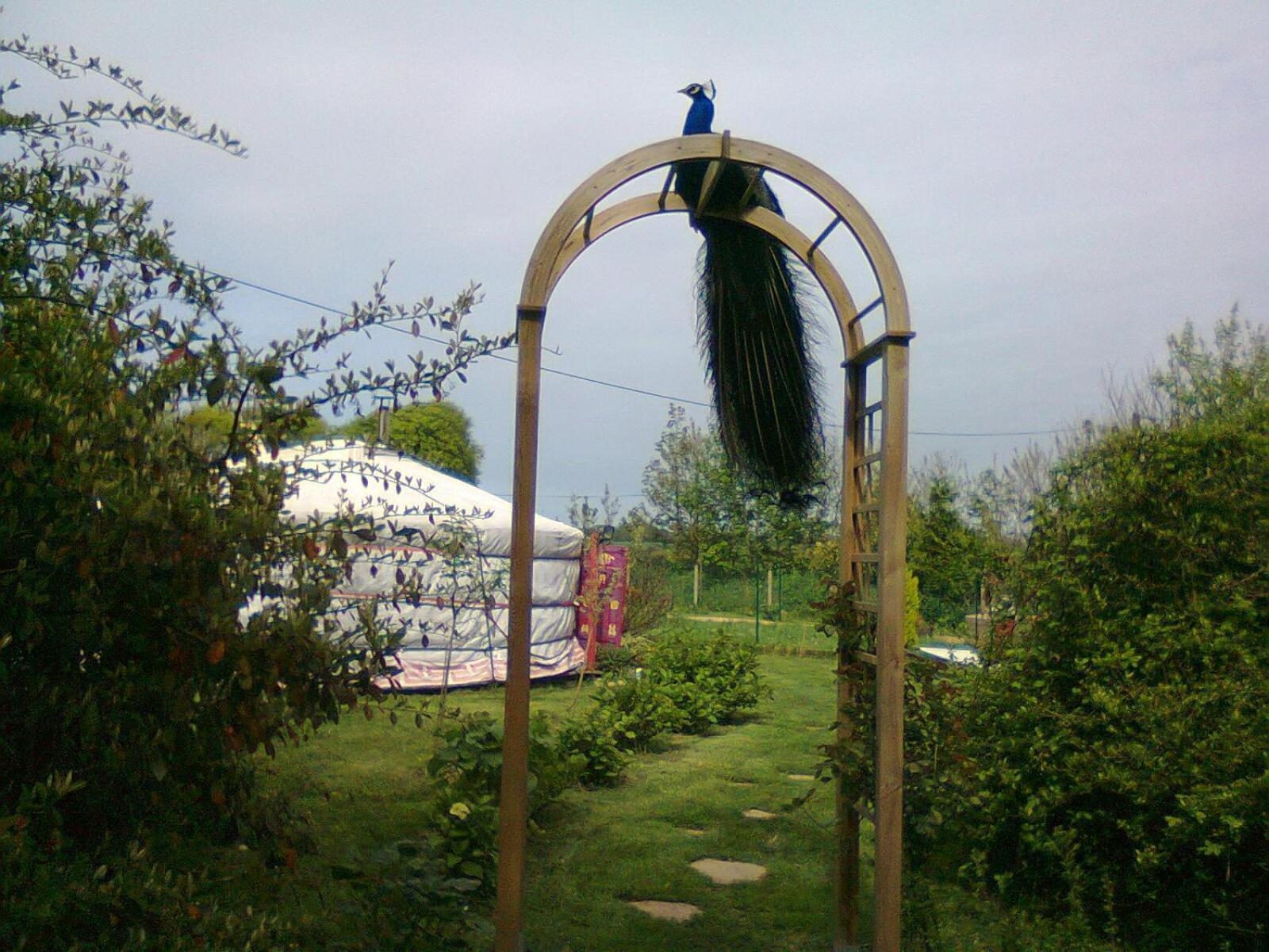 Hotel yourte-tipi-etretat Les Loges  Exterior foto