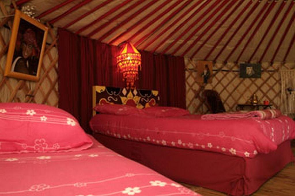 Hotel yourte-tipi-etretat Les Loges  Zimmer foto